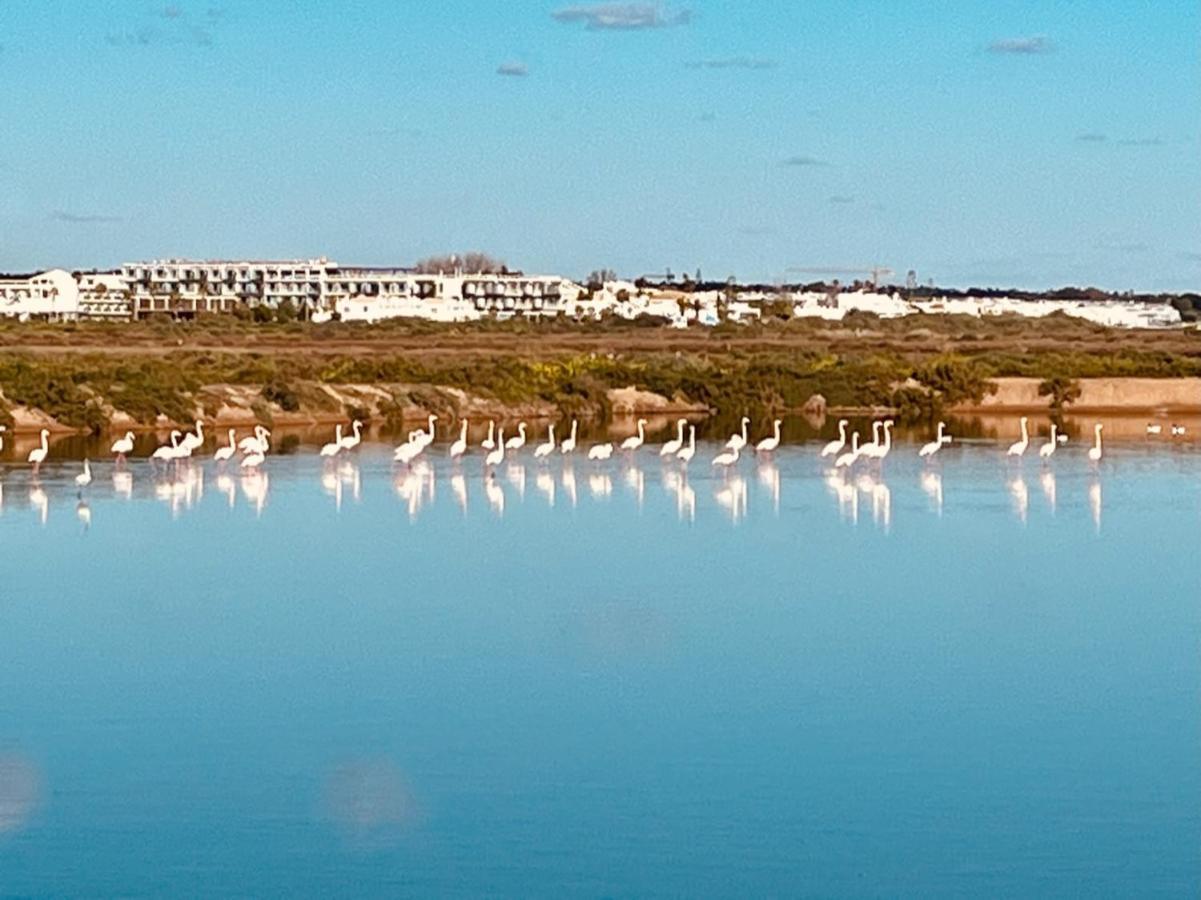 Casa Bamboo Tavira Lejlighed Eksteriør billede